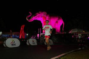 BIB: 
                            <button type="button" onclick="openModal(26543458)" class="btn btn-primary btn-sm float-right btn-popup" data-toggle="modal" data-target=".modal-high-quality">
                        <i class="fas fa-shopping-cart"></i> Add to Cart
                    </button>
                                            <button type="button" onclick="isThisMe(26543458, true)" class="btn btn-success btn-sm float-right btn-popup btn-isme hidden" data-toggle="tooltip" data-placement="bottom" title="นี่คือรูปของคุณใช่ไหม คลิกที่นี่เพื่อเอาเข้าอัลบั้ม">
                        <i class="fas fa-plus"></i> Add to album
                    </button>
                    <button type="button" onclick="isThisMe(26543458, false)" class="btn btn-warning btn-sm float-right btn-popup btn-isnotme hidden">
                        <i class="fas fa-ban"></i> Remove from album
                    </button>